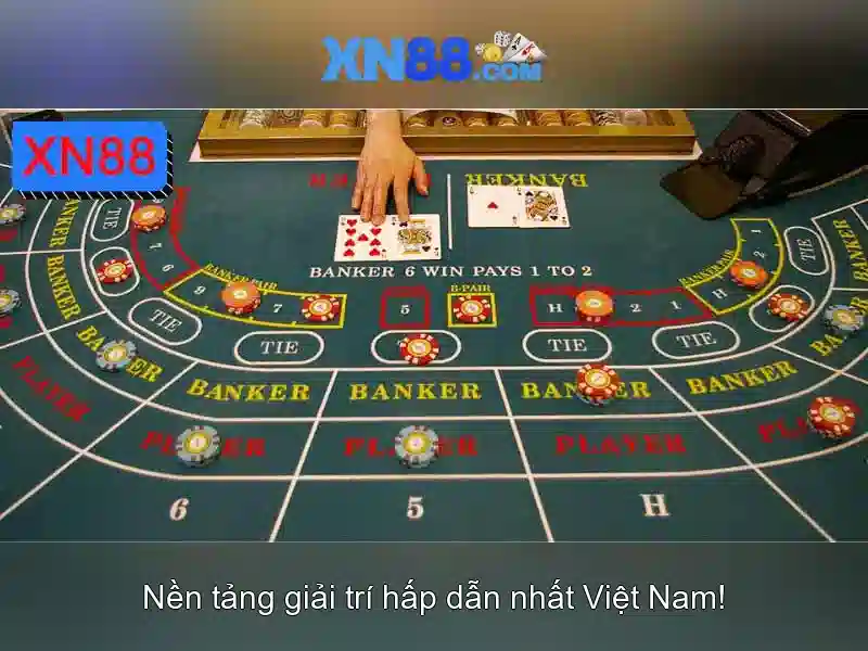 Xn88 là gì?