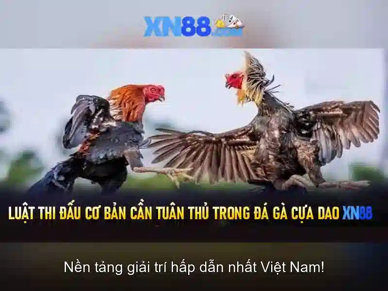 Mẹo chơi bắn cá 3 cây dễ ăn tiền nhà cái