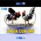 xn88: Nền tảng giải trí trực tuyến