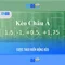 xn88 – Tổng quan về nền tảng trò chơi trực tuyến