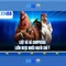 xn88: Tổng quan và hướng dẫn căn bản