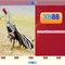 XN88 là gì và những điều người dùng cần biết