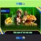 XN88 là gì và những điều bạn cần biết