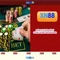 xn88: Đánh giá và hướng dẫn trải nghiệm