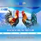 xn88: Tổng quan, sản phẩm và hướng dẫn an toàn tham gia