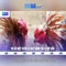 xn88 - Tổng quan và hướng dẫn cơ bản