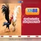 xn88: Tổng quan về nền tảng giải trí và cá cược trực tuyến