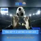 XN88 - Đánh giá và hướng dẫn trải nghiệm nền tảng giải trí trực tuyến