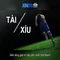 XN88: Tổng quan và hướng dẫn