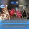 xn88: Đánh giá và Hướng dẫn tổng quan