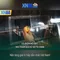 Tổng quan về xn88: nguồn gốc và tác động
