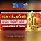 xn88: Tổng quan về nền tảng cược trực tuyến
