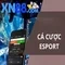 xn88 bet live – Trải nghiệm và đánh giá tổng quan