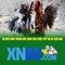 Xn88: Nền tảng trò chơi và cá cược trực tuyến