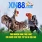 xn88 fit – hành trình trải nghiệm đỉnh cao với xn88 trang chủ và xn88 apk